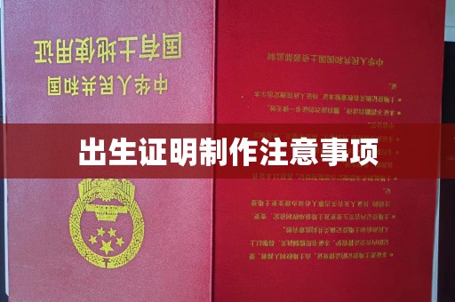 通城出生证明制作注意事项